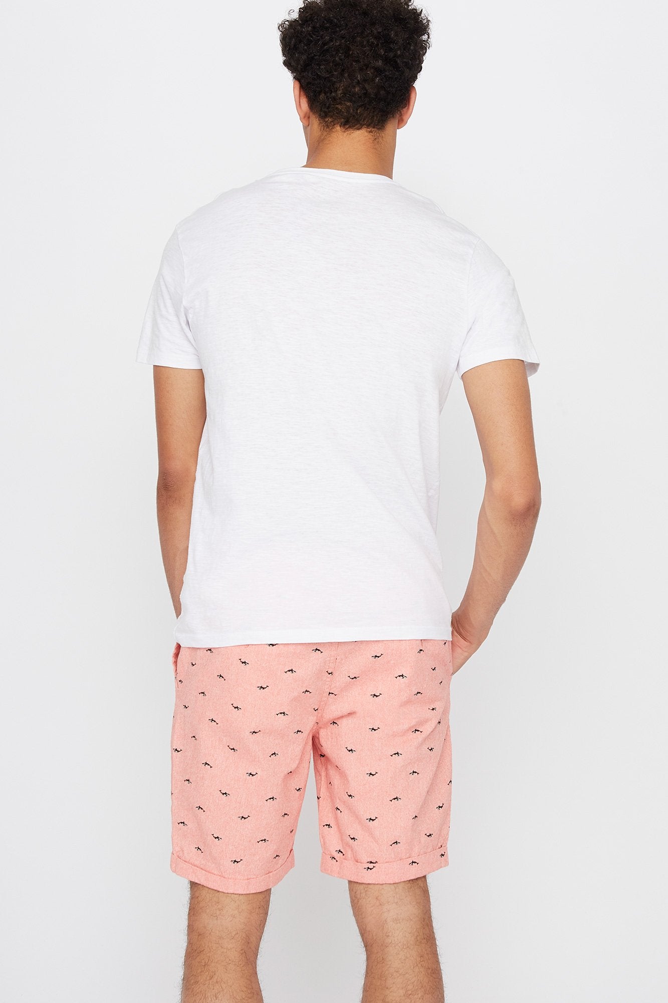 Coral